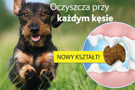 Karma dla psa, która czyści zęby, fot. Eukanuba