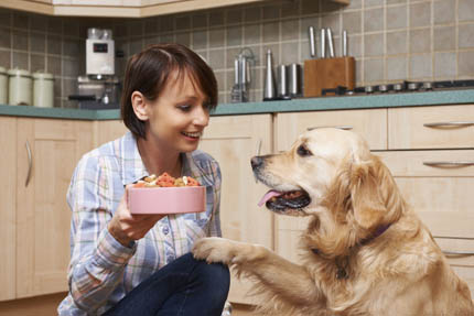 Karmienie psa czy kota nabiera dziś nowego znaczenia, fot. iStock