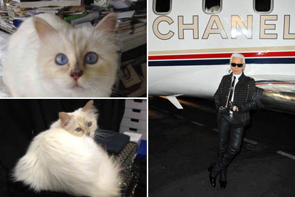 Choupette oraz Karl Lagerfeld, fot. The Choupette Estate/Depositphotos