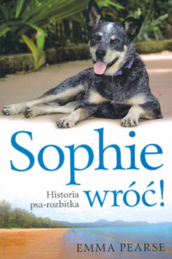 Sophie, wróć