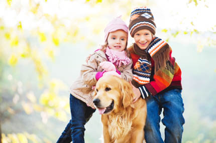 Dzięki zabawie zwierzęta czują się szczęśliwsze, fot. iStock